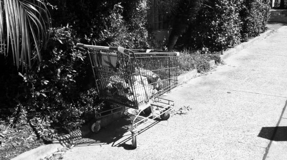 Shopping Trolley Sydney 1 Shopping Trolley Sydney 1