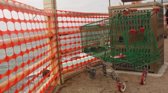 Shopping Trolley Sydney 4 Shopping Trolley Sydney 4