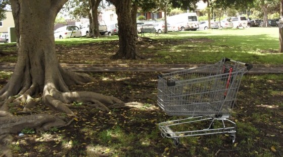 Shopping Trolley Sydney 5 Shopping Trolley Sydney 5